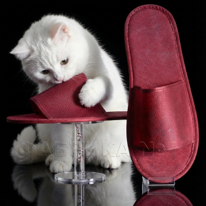 tapochki-iz-spanbonda-art-m-2-53